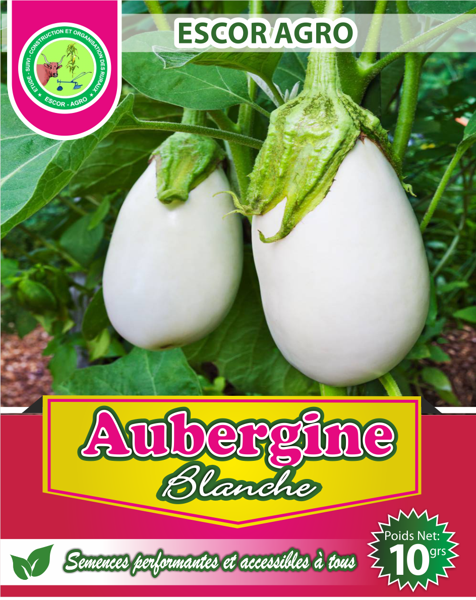 Aubergine